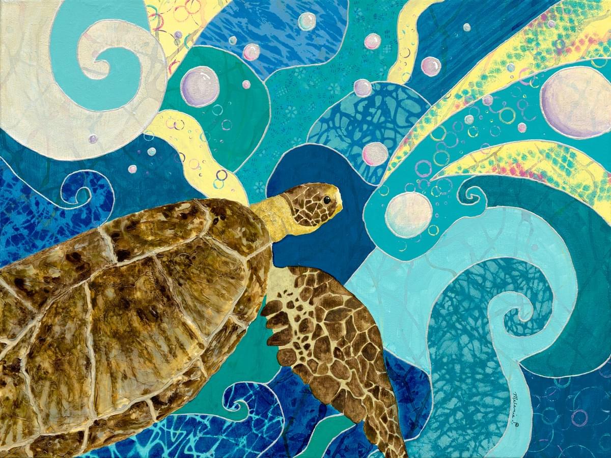 Hudson's Honu expresses the joy of swimming in Hawaii's waters.