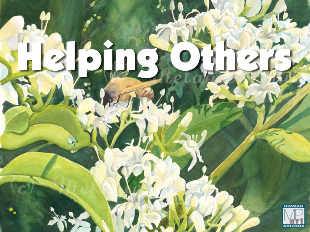 Watercolor of native Hawaii plant