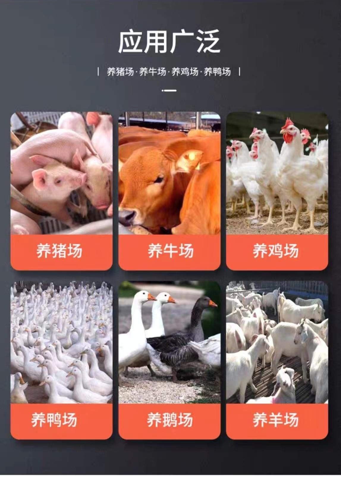 定量杯