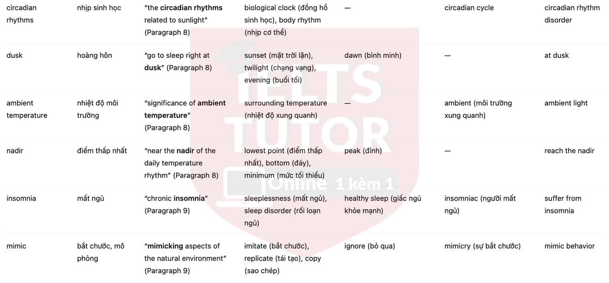 🔥Sleep Study on Modern-Day Hunter-Gatherer Dispels Popular Notions Answers with location - Đề thi thật IELTS READING- Làm bài online format computer-based, kèm đáp án, dịch & giải thích từ vựng - cấu trúc ngữ pháp khó
