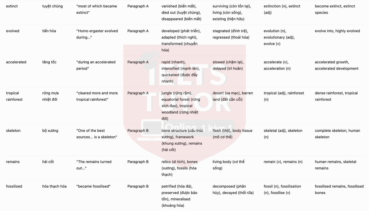 Vocabulary Explanation 4
