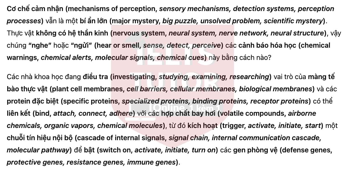 🔥The Secret Language of Plants Answers with location - Đề luyện tập IELTS READING- Làm bài online format computer-based, kèm đáp án, dịch & giải thích từ vựng - cấu trúc ngữ pháp khó