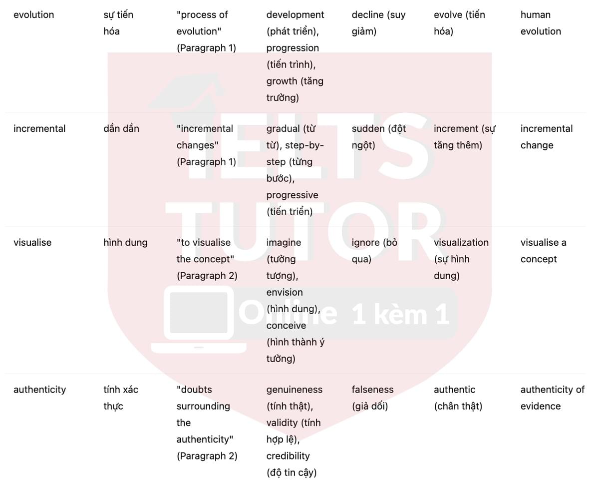 🔥The development of the bicycle Answers with location - Đề luyện tập IELTS READING- Làm bài online format computer-based, kèm đáp án, dịch & giải thích từ vựng - cấu trúc ngữ pháp khó