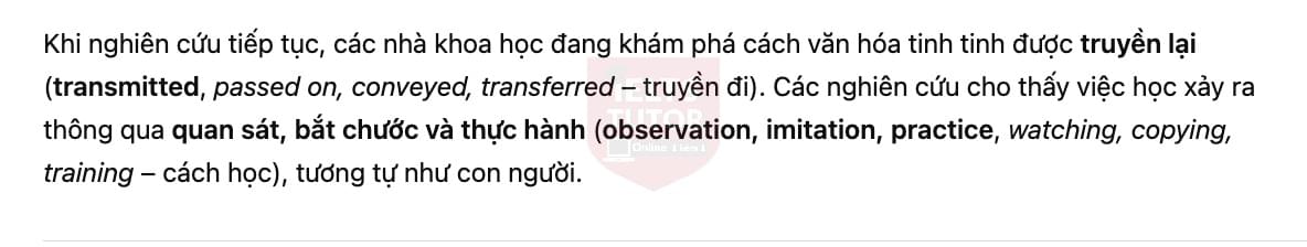 🔥Human-like culture in chimpanzees Answers with location - Đề luyện tập IELTS READING- Làm bài online format computer-based, kèm đáp án, dịch & giải thích từ vựng - cấu trúc ngữ pháp khó