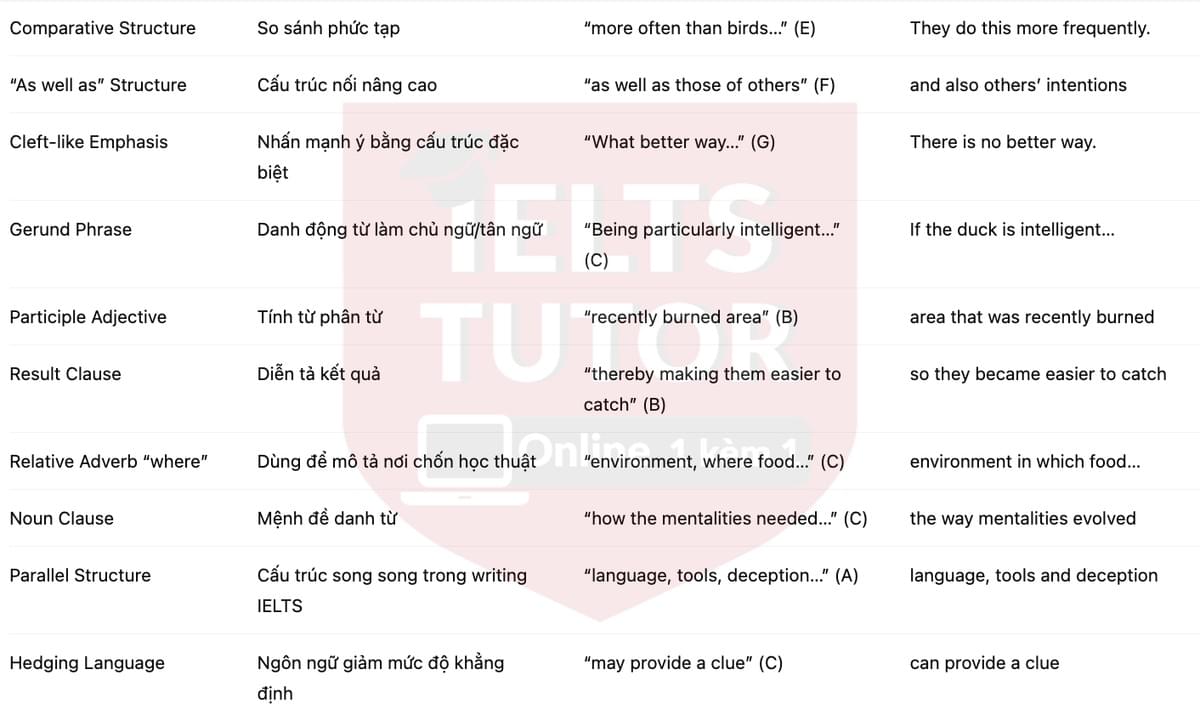 🔥Intelligent Behaviour in Birds Answers with location - Đề luyện tập IELTS READING- Làm bài online format computer-based, kèm đáp án, dịch & giải thích từ vựng - cấu trúc ngữ pháp khó