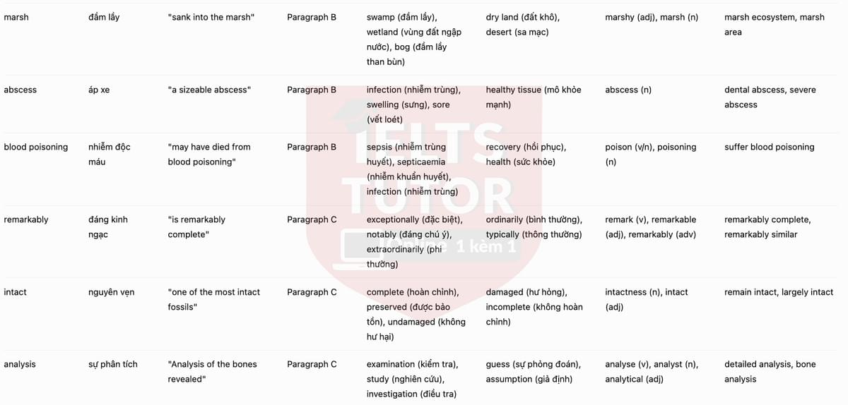 Vocabulary Explanation 2