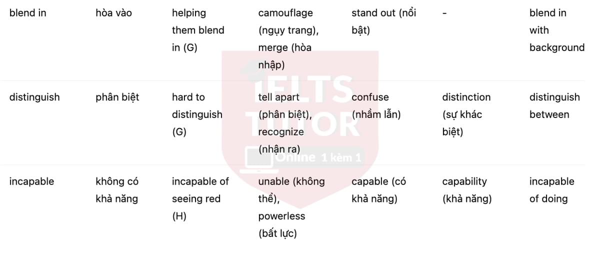 🔥DEEP SEA DISCOVERY Answers with location - Đề thi thật IELTS READING- Làm bài online format computer-based, kèm đáp án, dịch & giải thích từ vựng - cấu trúc ngữ pháp khó