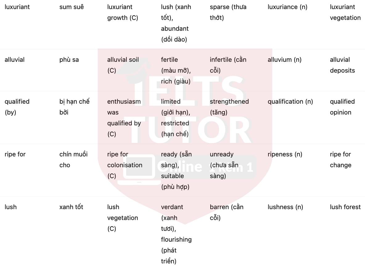 🔥Charles Heaphy and the settlement of New Zealand Answers with location - Đề luyện tập IELTS READING- Làm bài online format computer-based, kèm đáp án, dịch & giải thích từ vựng - cấu trúc ngữ pháp khó