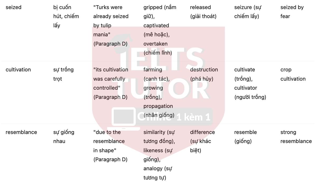 🔥Tulip Mania Answers with location - Đề luyện tập IELTS READING- Làm bài online format computer-based, kèm đáp án, dịch & giải thích từ vựng - cấu trúc ngữ pháp khó