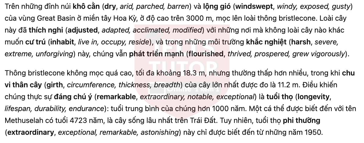 🔥Bristlecone Pines Answers with location - Đề luyện tập IELTS READING- Làm bài online format computer-based, kèm đáp án, dịch & giải thích từ vựng - cấu trúc ngữ pháp khó