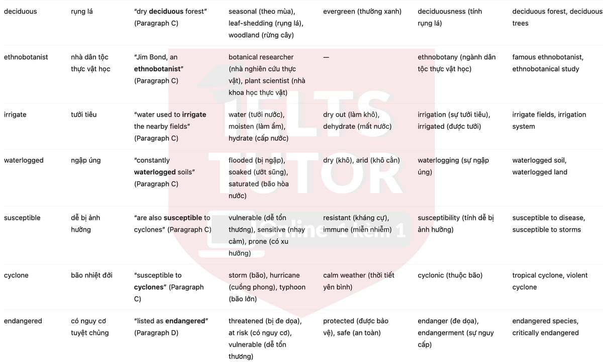 🔥The Baobabs of Madagascar Answers with location - Đề luyện tập IELTS READING- Làm bài online format computer-based, kèm đáp án, dịch & giải thích từ vựng - cấu trúc ngữ pháp khó