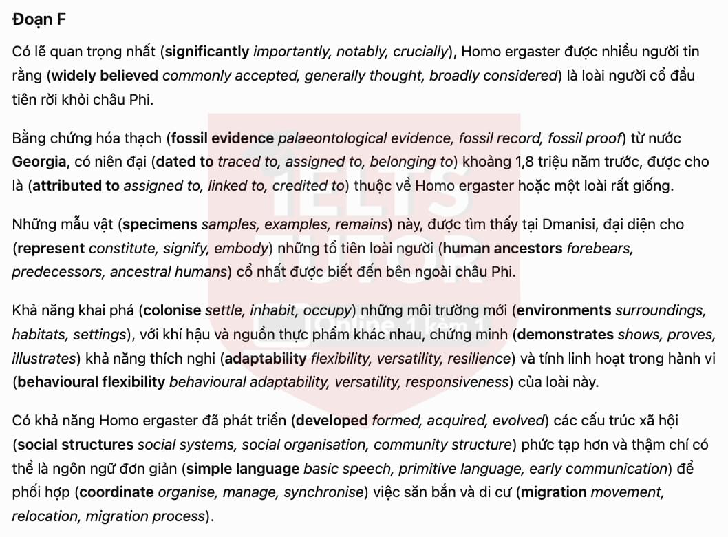 Translation 5