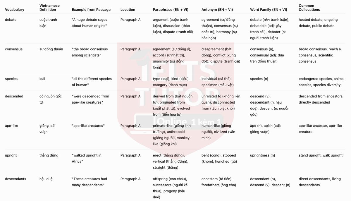 Vocabulary Explanation 1