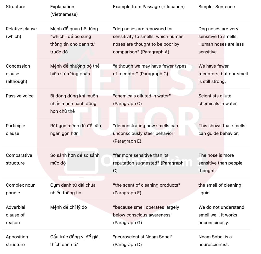 🔥The Power of Smell Answers with location - Đề luyện tập IELTS READING- Làm bài online format computer-based, kèm đáp án, dịch & giải thích từ vựng - cấu trúc ngữ pháp khó