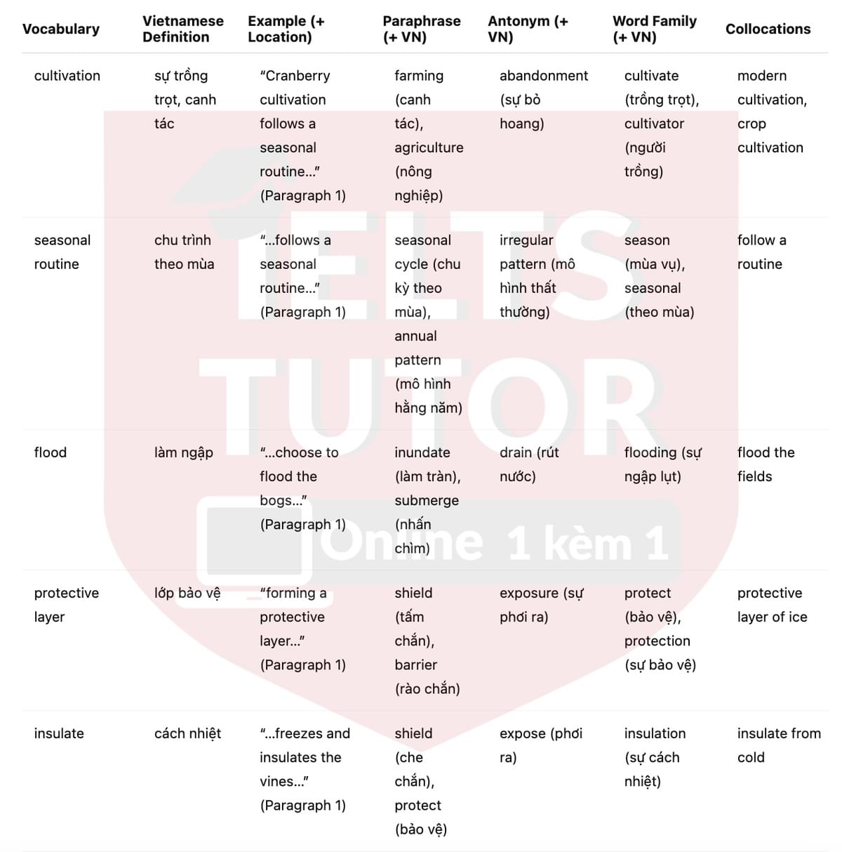 🔥Cranberry Fruit Answers with location - Đề luyện tập IELTS READING- Làm bài online format computer-based, kèm đáp án, dịch & giải thích từ vựng - cấu trúc ngữ pháp khó