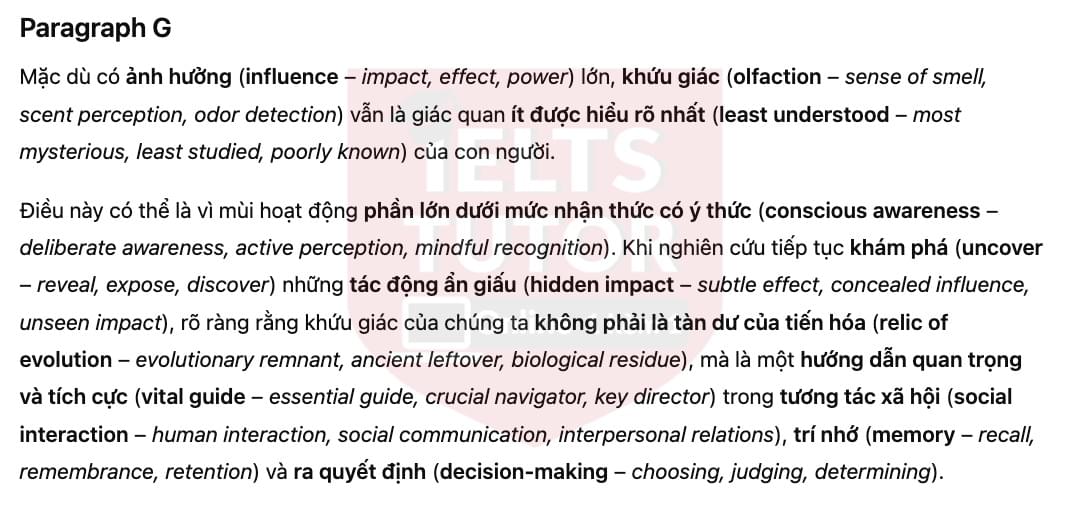 🔥The Power of Smell Answers with location - Đề luyện tập IELTS READING- Làm bài online format computer-based, kèm đáp án, dịch & giải thích từ vựng - cấu trúc ngữ pháp khó