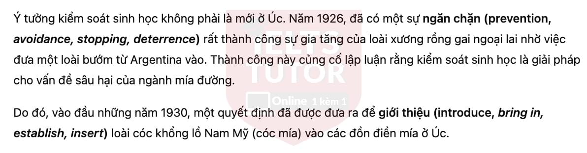 🔥Australia's cane toad problem Answers with location - Đề luyện tập IELTS READING- Làm bài online format computer-based, kèm đáp án, dịch & giải thích từ vựng - cấu trúc ngữ pháp khó
