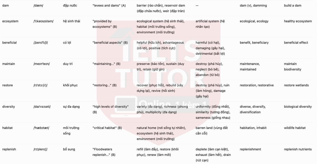 vocab-2