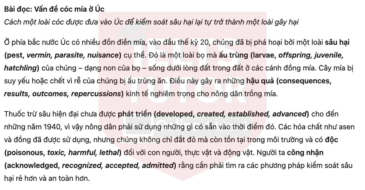 🔥Australia's cane toad problem Answers with location - Đề luyện tập IELTS READING- Làm bài online format computer-based, kèm đáp án, dịch & giải thích từ vựng - cấu trúc ngữ pháp khó