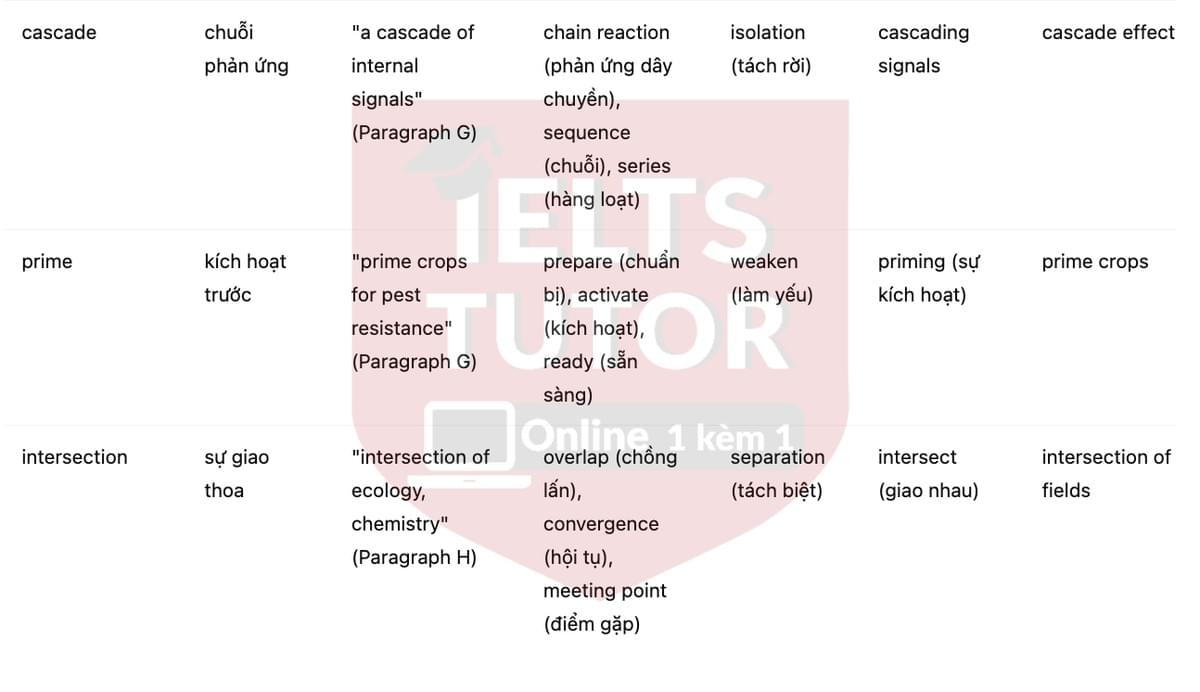 🔥The Secret Language of Plants Answers with location - Đề luyện tập IELTS READING- Làm bài online format computer-based, kèm đáp án, dịch & giải thích từ vựng - cấu trúc ngữ pháp khó
