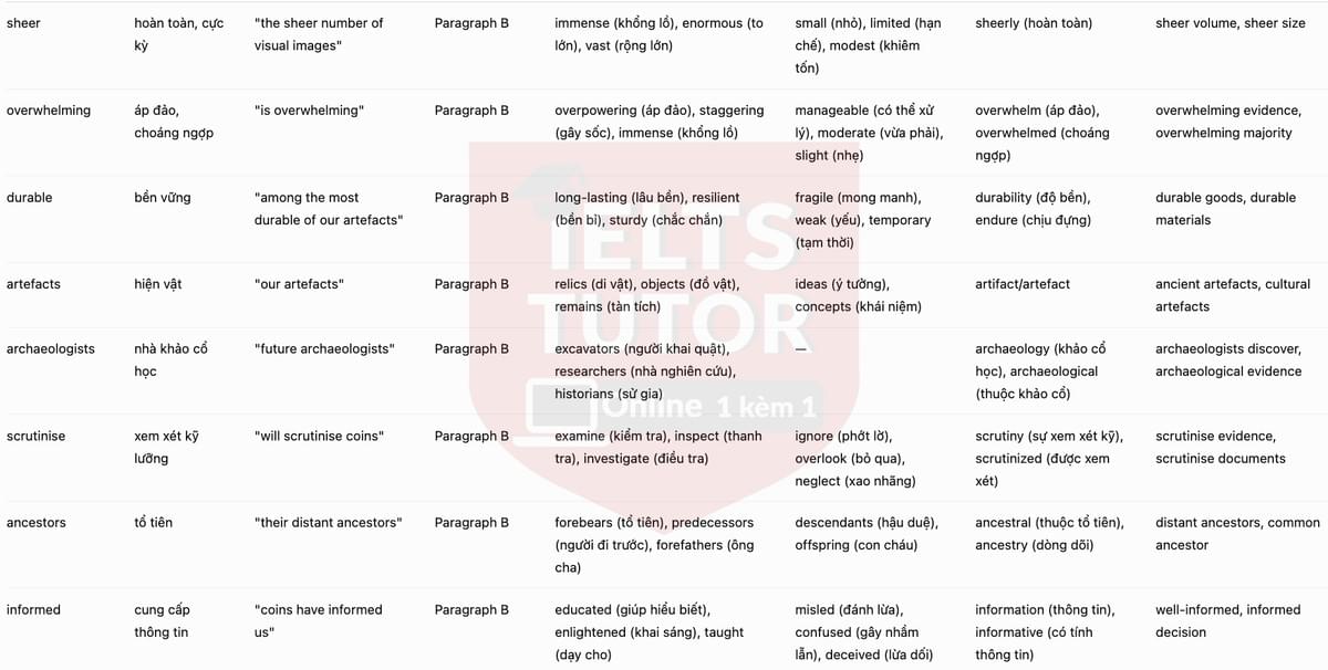 vocab2