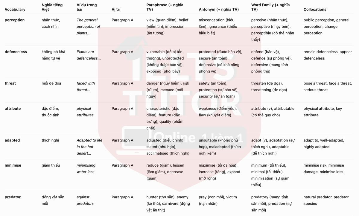 vocab1