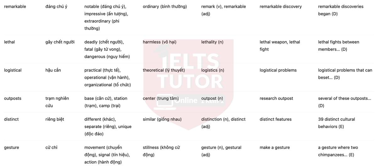 🔥Human-like culture in chimpanzees Answers with location - Đề luyện tập IELTS READING- Làm bài online format computer-based, kèm đáp án, dịch & giải thích từ vựng - cấu trúc ngữ pháp khó