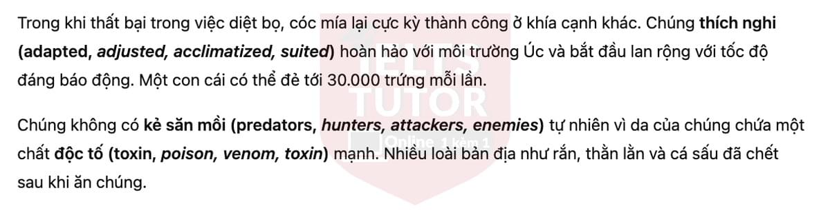 🔥Australia's cane toad problem Answers with location - Đề luyện tập IELTS READING- Làm bài online format computer-based, kèm đáp án, dịch & giải thích từ vựng - cấu trúc ngữ pháp khó