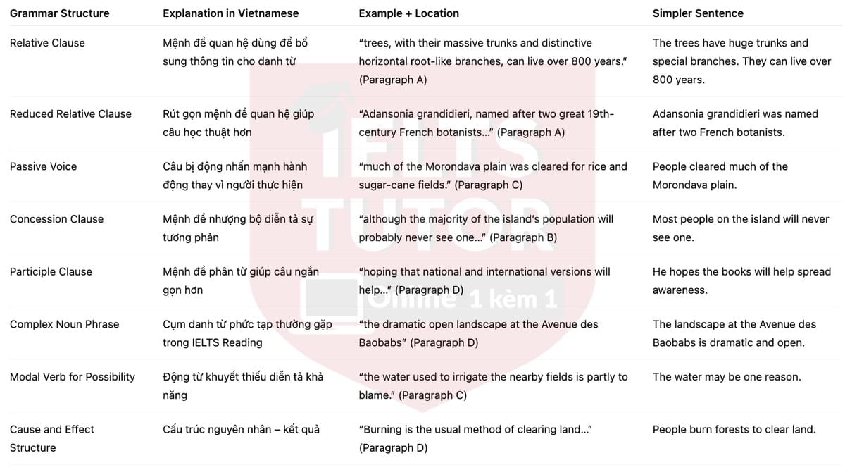 🔥The Baobabs of Madagascar Answers with location - Đề luyện tập IELTS READING- Làm bài online format computer-based, kèm đáp án, dịch & giải thích từ vựng - cấu trúc ngữ pháp khó