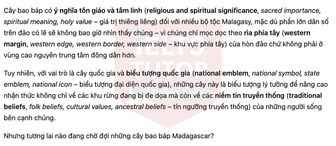 🔥The Baobabs of Madagascar Answers with location - Đề luyện tập IELTS READING- Làm bài online format computer-based, kèm đáp án, dịch & giải thích từ vựng - cấu trúc ngữ pháp khó