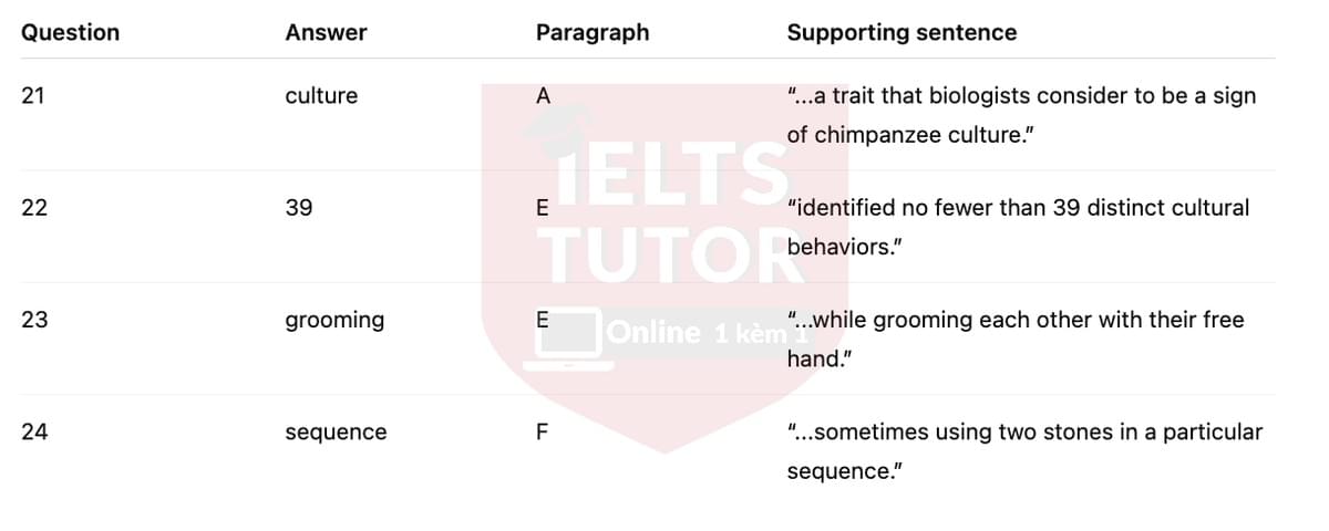 🔥Human-like culture in chimpanzees Answers with location - Đề luyện tập IELTS READING- Làm bài online format computer-based, kèm đáp án, dịch & giải thích từ vựng - cấu trúc ngữ pháp khó