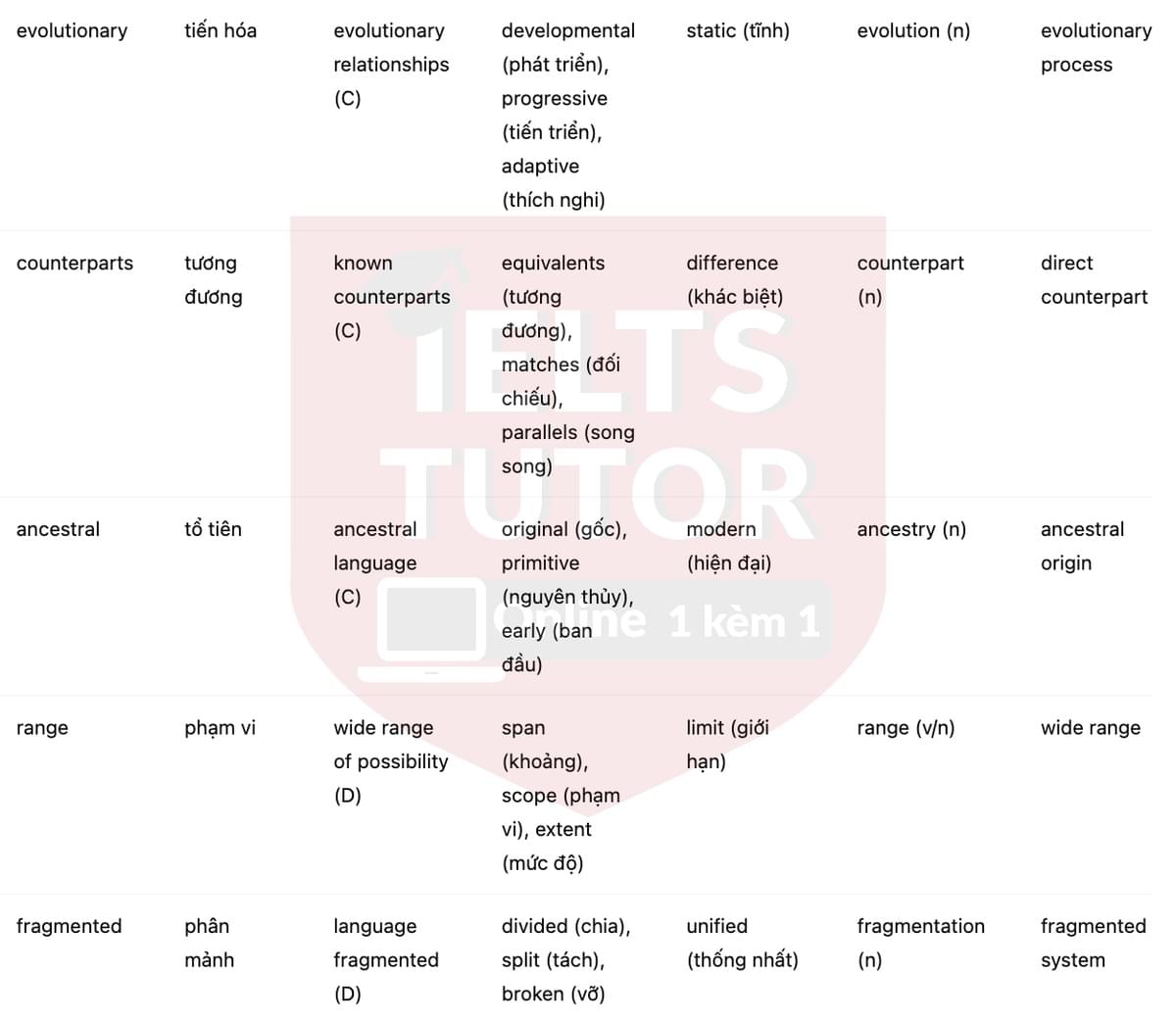 🔥The history of the Celtic language Answers with location - Đề luyện tập IELTS READING- Làm bài online format computer-based, kèm đáp án, dịch & giải thích từ vựng - cấu trúc ngữ pháp khó