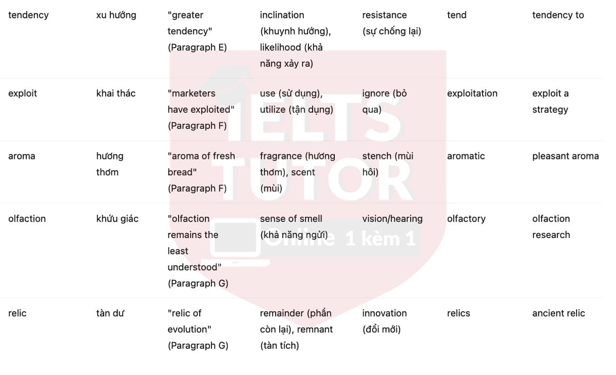 🔥The Power of Smell Answers with location - Đề luyện tập IELTS READING- Làm bài online format computer-based, kèm đáp án, dịch & giải thích từ vựng - cấu trúc ngữ pháp khó