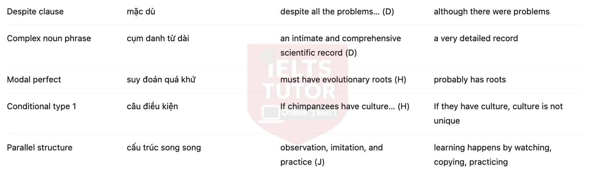 🔥Human-like culture in chimpanzees Answers with location - Đề luyện tập IELTS READING- Làm bài online format computer-based, kèm đáp án, dịch & giải thích từ vựng - cấu trúc ngữ pháp khó