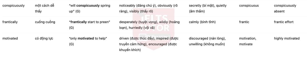 🔥Intelligent Behaviour in Birds Answers with location - Đề luyện tập IELTS READING- Làm bài online format computer-based, kèm đáp án, dịch & giải thích từ vựng - cấu trúc ngữ pháp khó