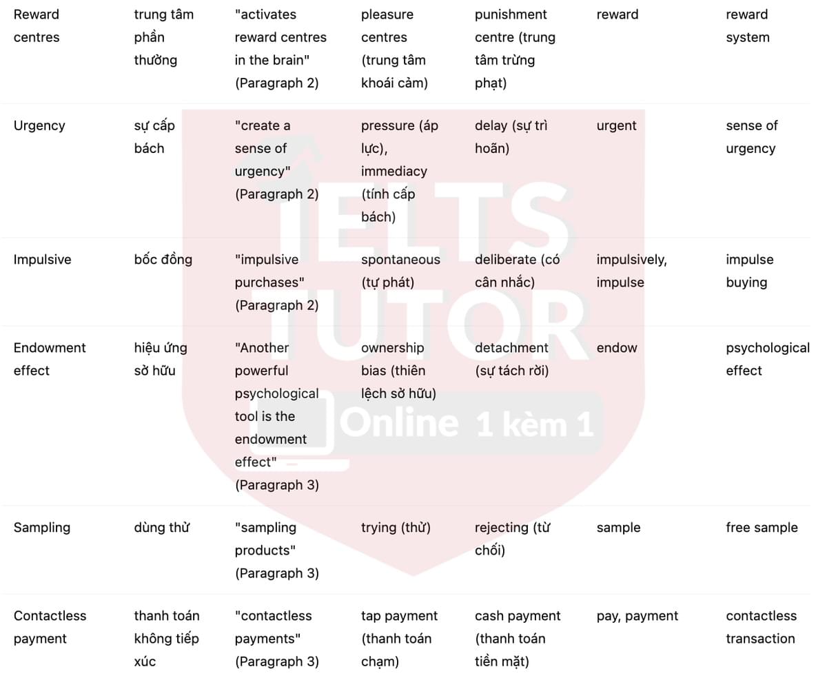 🔥The way the brain buys Answers with location - Đề luyện tập IELTS READING- Làm bài online format computer-based, kèm đáp án, dịch & giải thích từ vựng - cấu trúc ngữ pháp khó