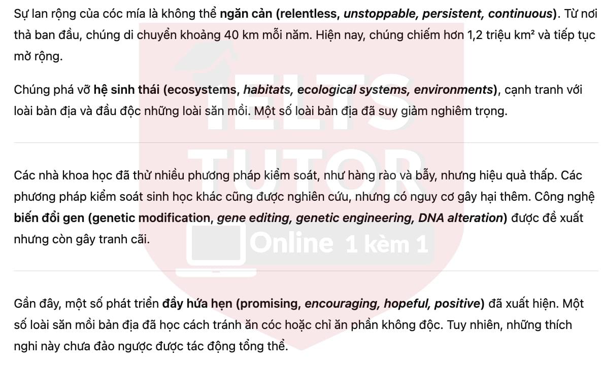 🔥Australia's cane toad problem Answers with location - Đề luyện tập IELTS READING- Làm bài online format computer-based, kèm đáp án, dịch & giải thích từ vựng - cấu trúc ngữ pháp khó