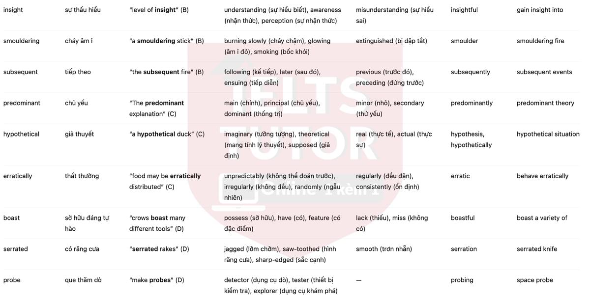 🔥Intelligent Behaviour in Birds Answers with location - Đề luyện tập IELTS READING- Làm bài online format computer-based, kèm đáp án, dịch & giải thích từ vựng - cấu trúc ngữ pháp khó