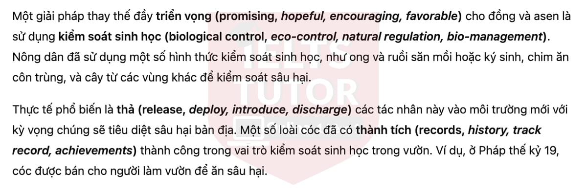 🔥Australia's cane toad problem Answers with location - Đề luyện tập IELTS READING- Làm bài online format computer-based, kèm đáp án, dịch & giải thích từ vựng - cấu trúc ngữ pháp khó