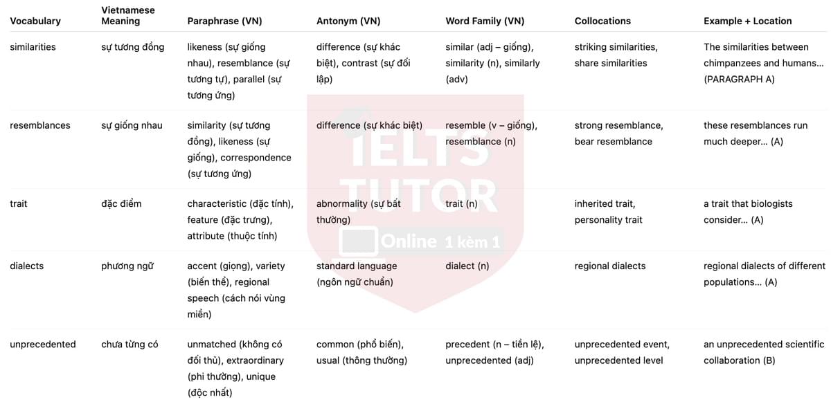 🔥Human-like culture in chimpanzees Answers with location - Đề luyện tập IELTS READING- Làm bài online format computer-based, kèm đáp án, dịch & giải thích từ vựng - cấu trúc ngữ pháp khó