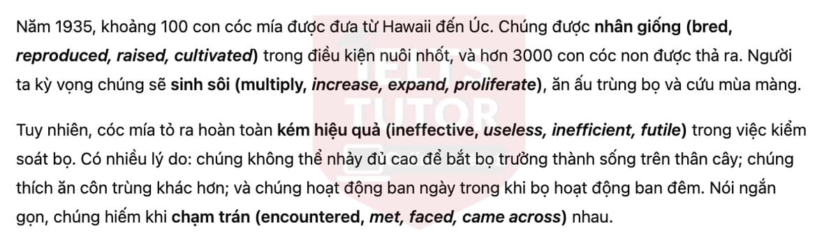 🔥Australia's cane toad problem Answers with location - Đề luyện tập IELTS READING- Làm bài online format computer-based, kèm đáp án, dịch & giải thích từ vựng - cấu trúc ngữ pháp khó