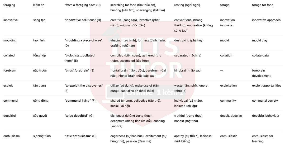 🔥Intelligent Behaviour in Birds Answers with location - Đề luyện tập IELTS READING- Làm bài online format computer-based, kèm đáp án, dịch & giải thích từ vựng - cấu trúc ngữ pháp khó