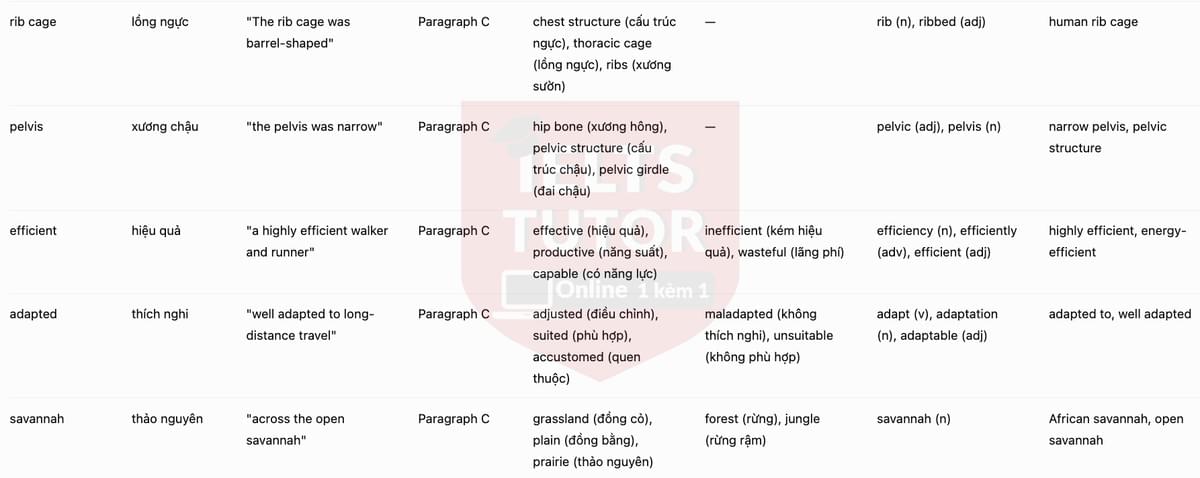 Vocabulary Explanation 3