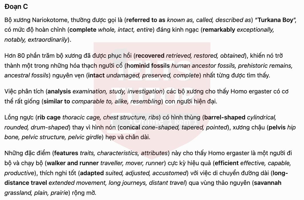 Translation 2