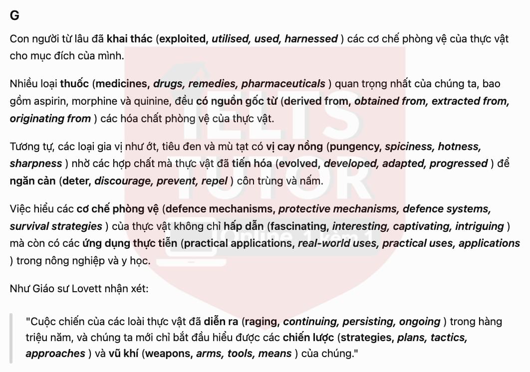 trans5