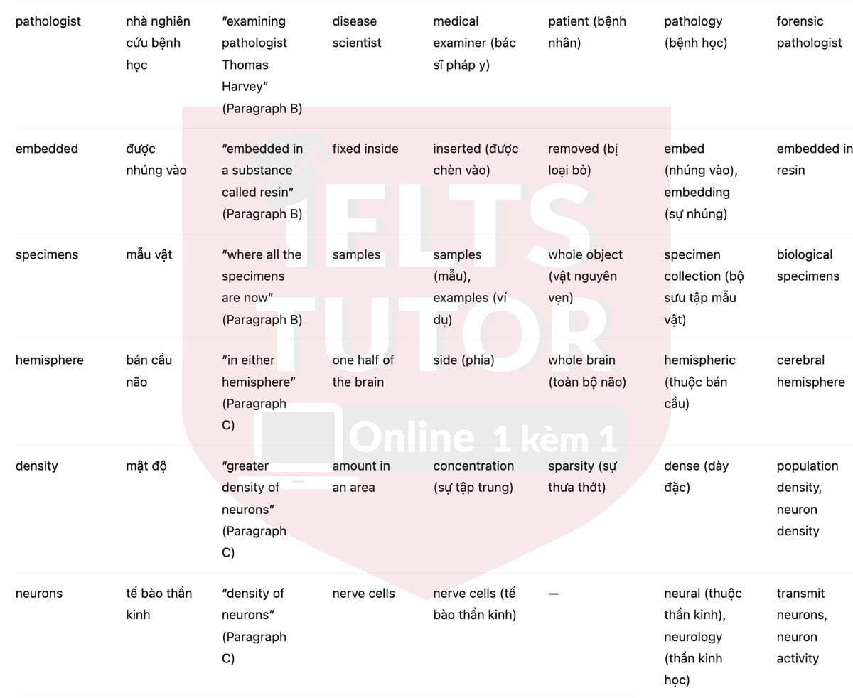 🔥Why was he so smart? Answers with location - Đề luyện tập IELTS READING- Làm bài online format computer-based, kèm đáp án, dịch & giải thích từ vựng - cấu trúc ngữ pháp khó