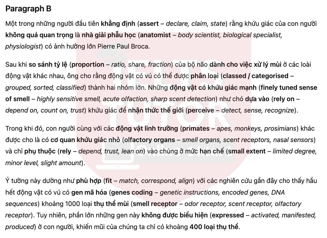 🔥The Power of Smell Answers with location - Đề luyện tập IELTS READING- Làm bài online format computer-based, kèm đáp án, dịch & giải thích từ vựng - cấu trúc ngữ pháp khó