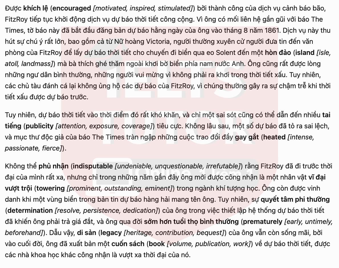 trans 3