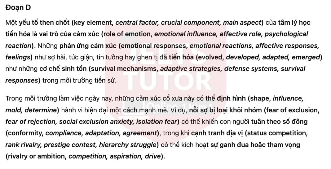 🔥Understanding the origins of workplace behavior Answers with location - Đề luyện tập IELTS READING- Làm bài online format computer-based, kèm đáp án, dịch & giải thích từ vựng - cấu trúc ngữ pháp khó