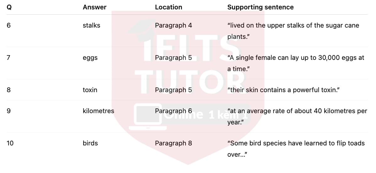 🔥Australia's cane toad problem Answers with location - Đề luyện tập IELTS READING- Làm bài online format computer-based, kèm đáp án, dịch & giải thích từ vựng - cấu trúc ngữ pháp khó